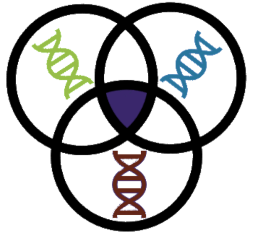 Compare up to 24 tests at once.
